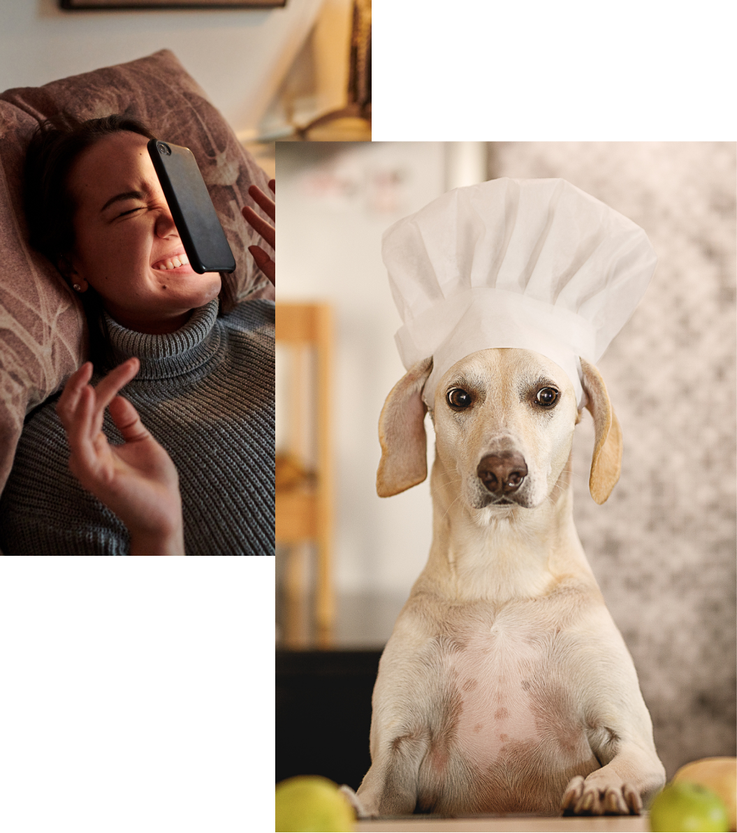Examples of memes. Left: a woman drops her phone on her face. Right: a dog wearing a chef hat