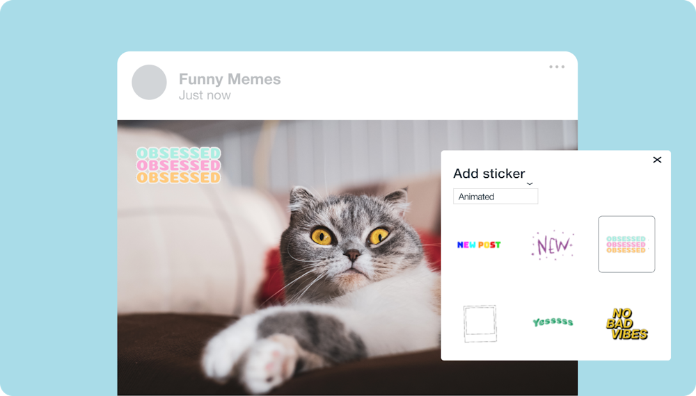 A video maker creates a meme video from a brand called "Funny Memes" in Vimeo Create